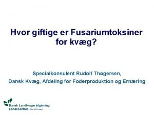 Hvor giftige er Fusariumtoksiner for kvg Specialkonsulent Rudolf