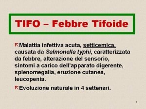 TIFO Febbre Tifoide Malattia infettiva acuta setticemica causata