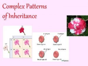 Complex Patterns of Inheritance A Many patterns of