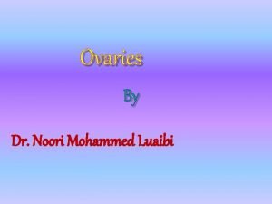 Ovaries By Dr Noori Mohammed Luaibi ovaries The