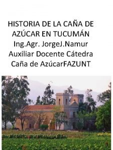 HISTORIA DE LA CAA DE AZCAR EN TUCUMN