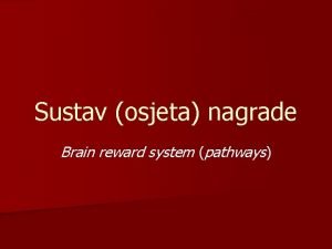 Sustav osjeta nagrade Brain reward system pathways Temelji
