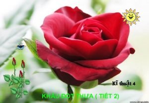 Khâu đột thưa (tiết 2)