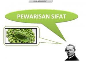 BY LILI ANDAJANI M Pd PEWARISAN SIFAT BY