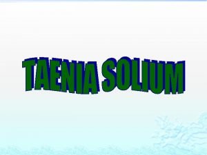 Gravid proglottid of taenia solium diagram Gravid proglottid of taenia solium diagram