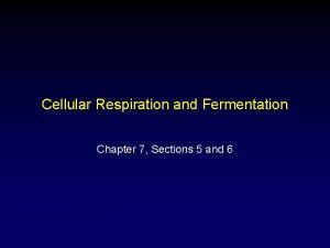 Cellular Respiration and Fermentation Chapter 7 Sections 5