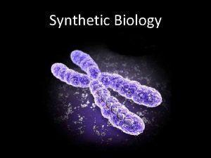 Synthetic Biology The Big Picture Want synthetic genomes