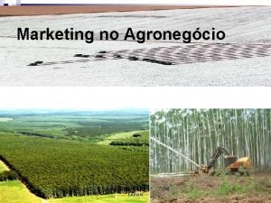 Marketing no Agronegcio Gesto de Agronegcio FAPAN CDM