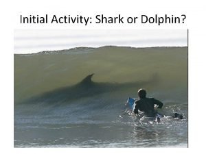 Initial Activity Shark or Dolphin Types of Attacks