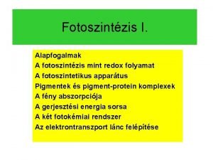 Fotoszintzis I Alapfogalmak A fotoszintzis mint redox folyamat