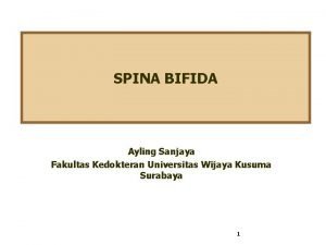 Jenis spina bifida