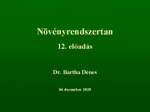 Nvnyrendszertan 12 elads Dr Bartha Dnes 06 december