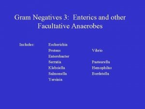 Gram Negatives 3 Enterics and other Facultative Anaerobes