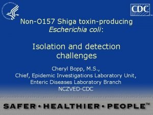 NonO 157 Shiga toxinproducing Escherichia coli Isolation and