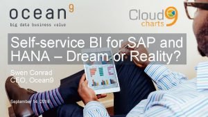 Selfservice BI for SAP and HANA Dream or