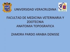 Desmotomía del ligamento patelar medial en equinos