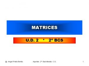 MATRICES U D 2 2 BCS Angel Prieto