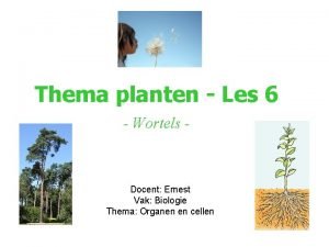 Thema planten Les 6 Wortels Docent Ernest Vak