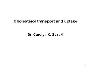Cholesterol uptake