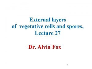 External layers of vegetative cells and spores Lecture