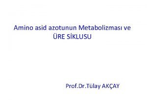 Amino asid azotunun Metabolizmas ve RE SKLUSU Prof