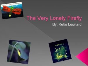 The very lonely firefly sequencing