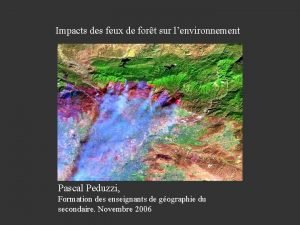 Impacts des feux de fort sur lenvironnement Pascal