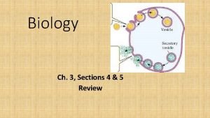 Which phrase best describes passive transport