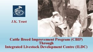 J K Trust Cattle Breed Improvement Program CBIP