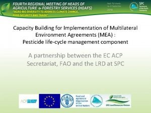 Capacity Building for Implementation of Multilateral Environment Agreements