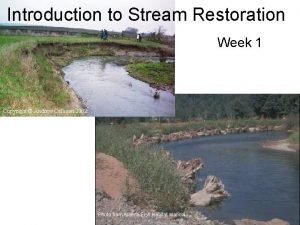 Bassett creek restoration