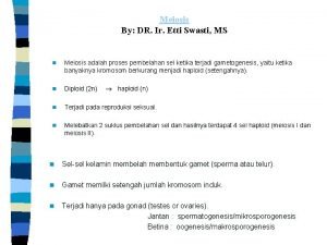 Non sister kromatid adalah Non sister kromatid adalah