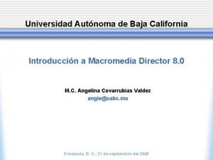 Universidad Autnoma de Baja California Introduccin a Macromedia