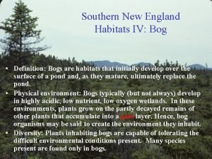 New england colonies definition