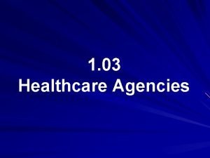 1 03 Healthcare Agencies Public Healthcare Systems 1