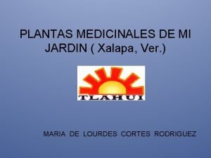 PLANTAS MEDICINALES DE MI JARDIN Xalapa Ver MARIA