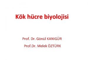 Kk hcre biyolojisi Prof Dr Gnl KANIGR Prof