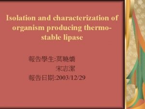 Isolation and characterization of organism producing thermostable lipase