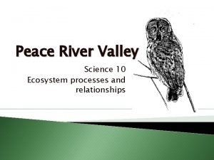 Peace River Valley Science 10 Ecosystem processes and