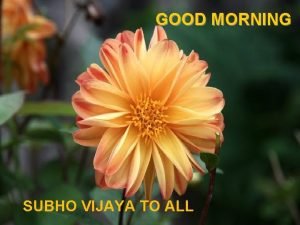 Good morning vijaya