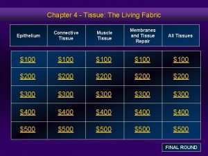 Chapter 4 Tissue The Living Fabric Epithelium Connective