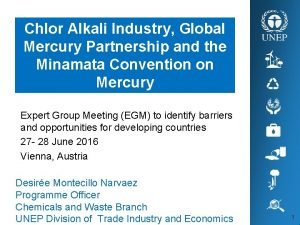 Chlor Alkali Industry Global Mercury Partnership and the