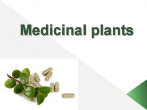Origin of medicinal plants Origin of medicinal plants