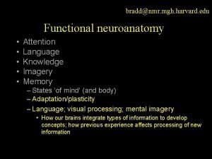 braddnmr mgh harvard edu Functional neuroanatomy Attention Language