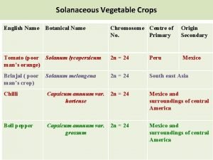 Solanaceous Vegetable Crops English Name Botanical Name Chromosome
