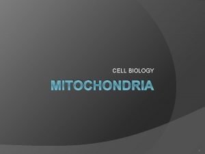 CELL BIOLOGY MITOCHONDRIA 1 2 3 Mitochondria The