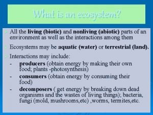 What is an ecosystem All the living biotic