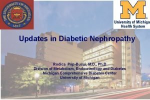 Updates in Diabetic Nephropathy Rodica PopBusui M D