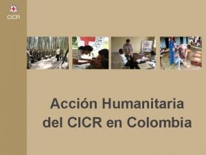 Accin Humanitaria del CICR en Colombia Temas Qu