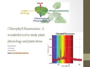Chlorophyll fluorescence A wonderful tool to study plant